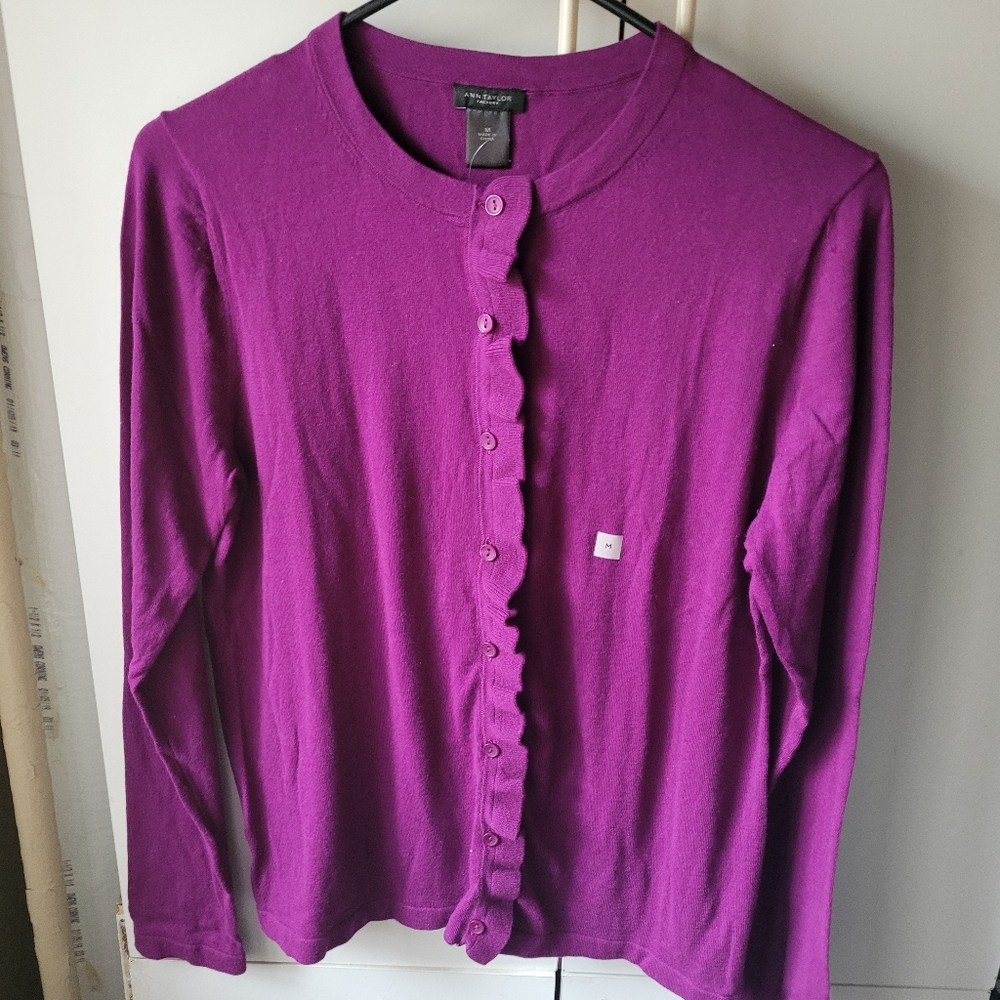 Nwt Ann Taylor factory sweater